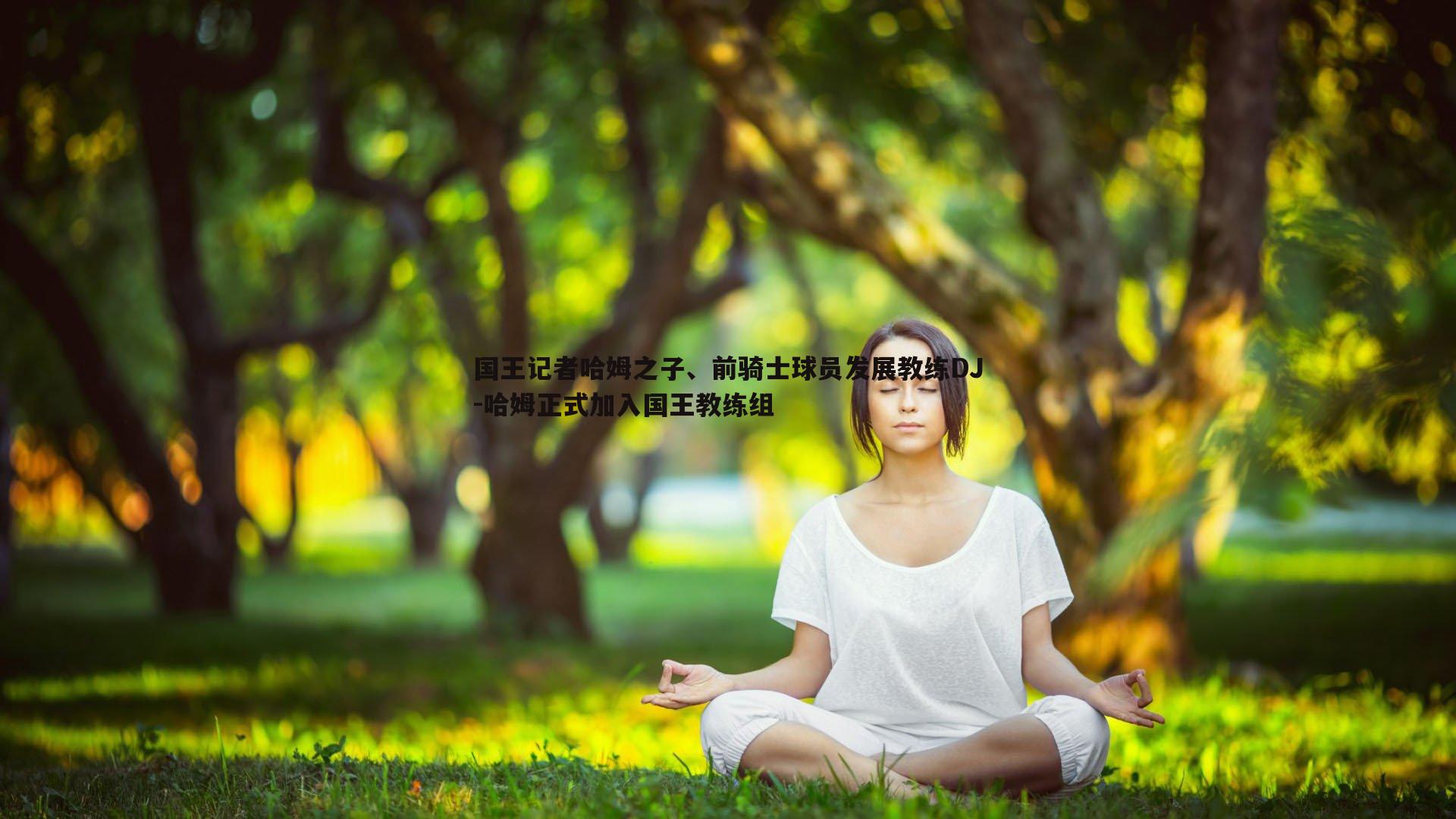 国王记者哈姆之子、前骑士球员发展教练DJ-哈姆正式加入国王教练组